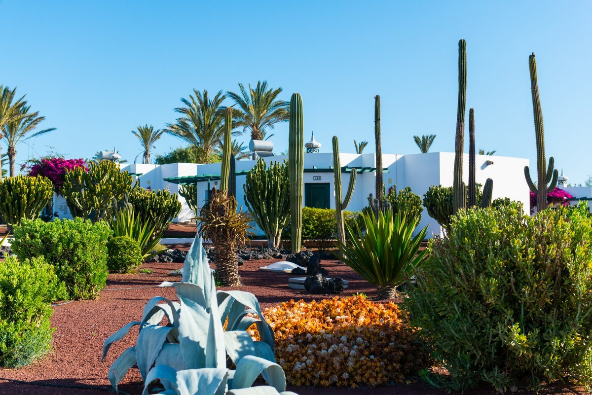HL Club Playa Blanca**** Hotel - Lanzarote - 